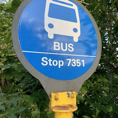 ホテル Horse & Hound Delgany