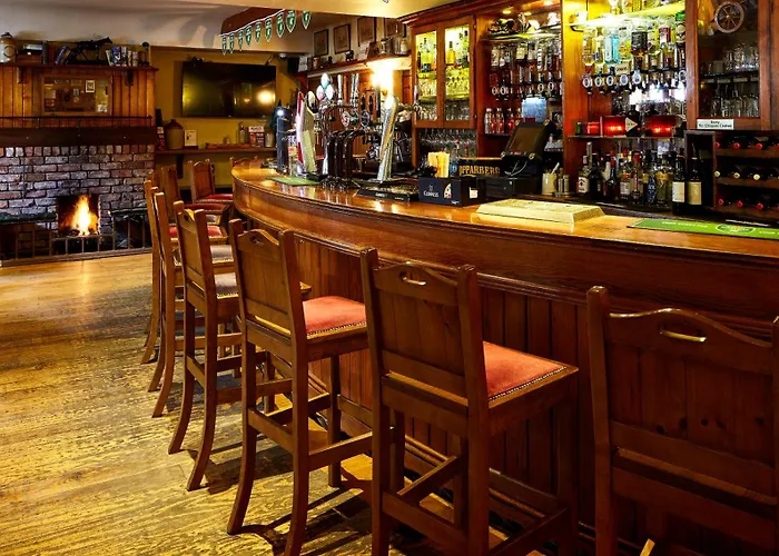 Horse & Hound 酒店 Delgany