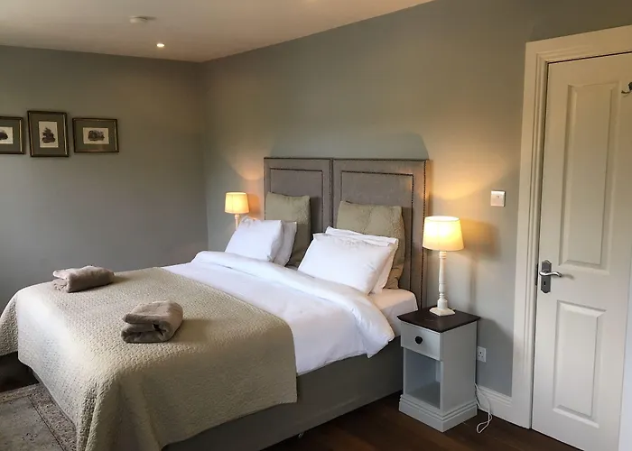 酒店 Horse & Hound Delgany