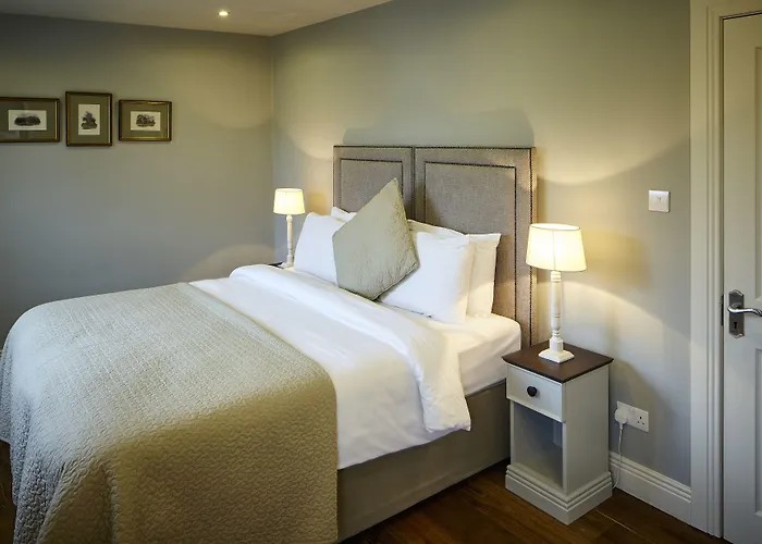 Otel Horse & Hound Delgany