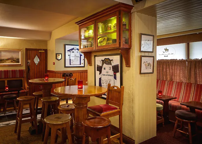 Horse & Hound 酒店 Delgany