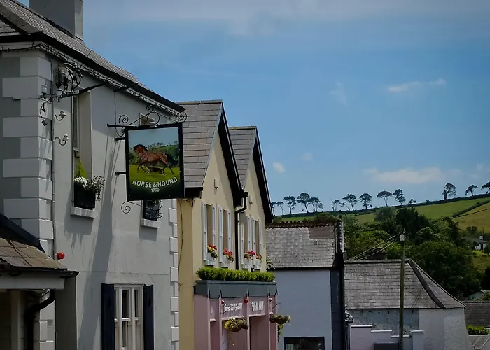 Horse & Hound 酒店 Delgany