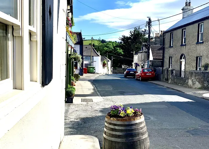 酒店 Horse & Hound Delgany